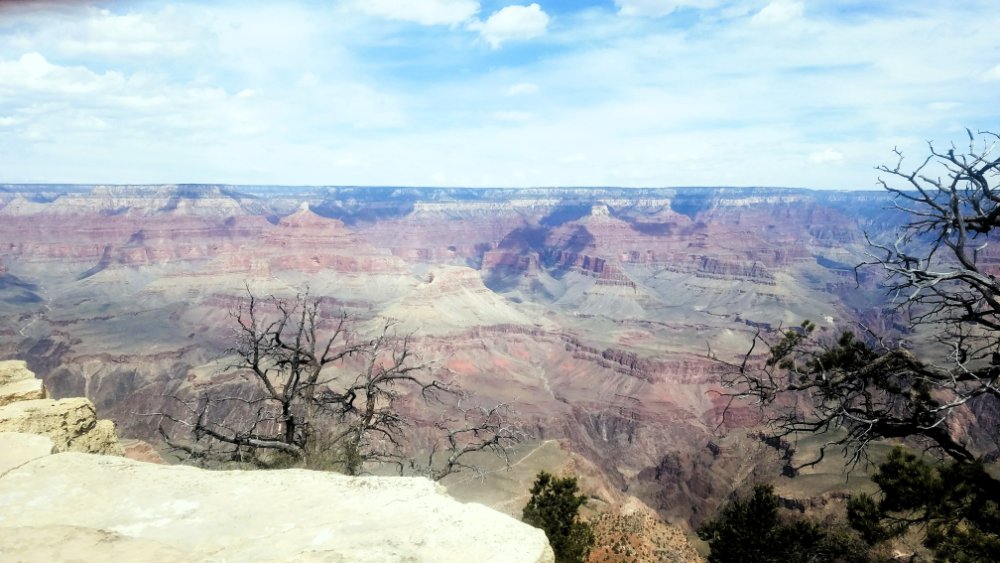 The Grand Canyon from the South Rim