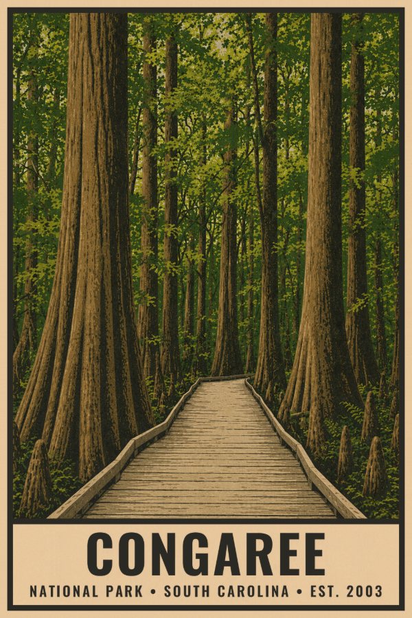 Congaree National Park Poster — vintage flat-ink style travel print of Congaree, South Carolina